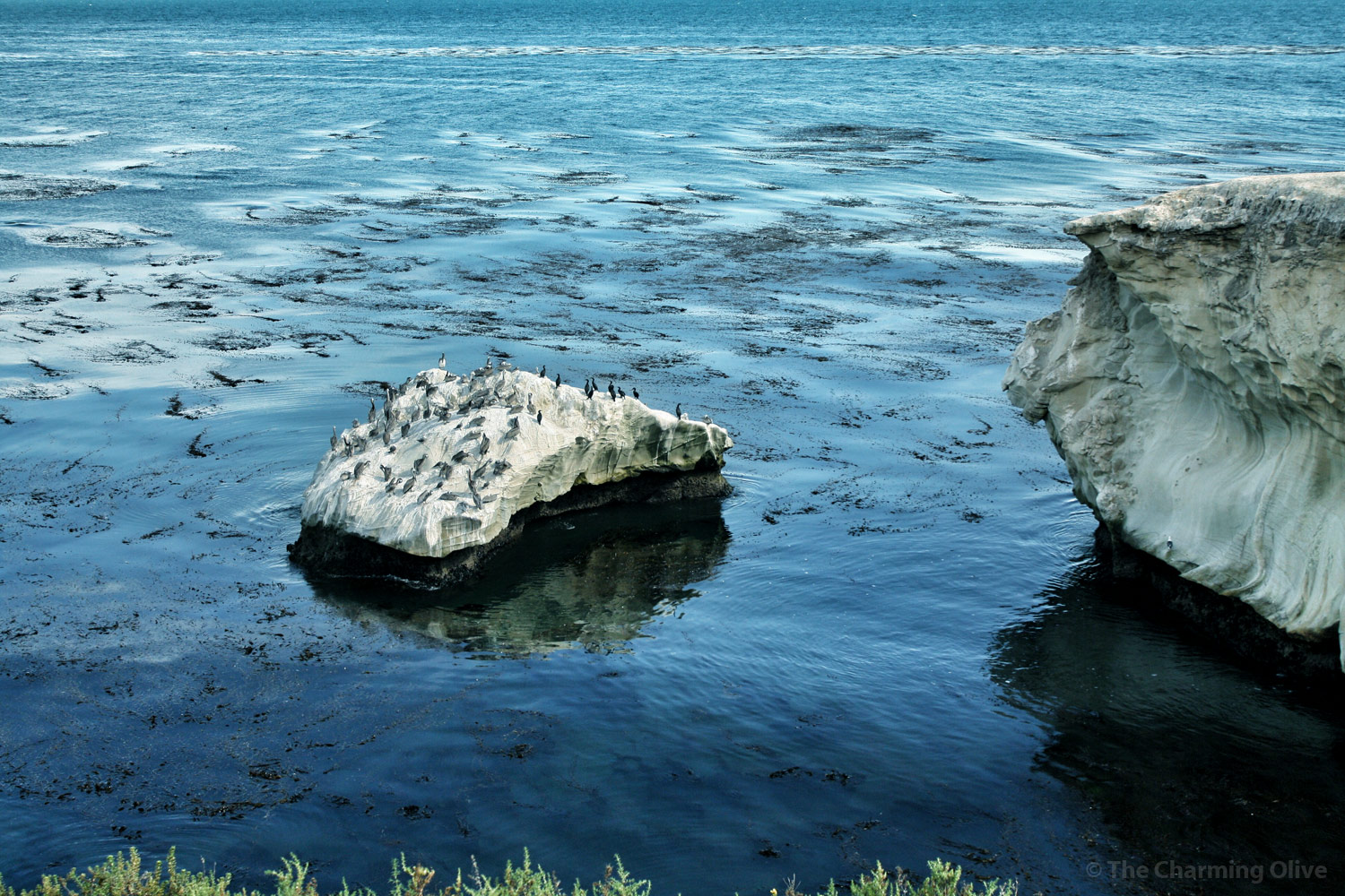 Ocean, Shell Beach