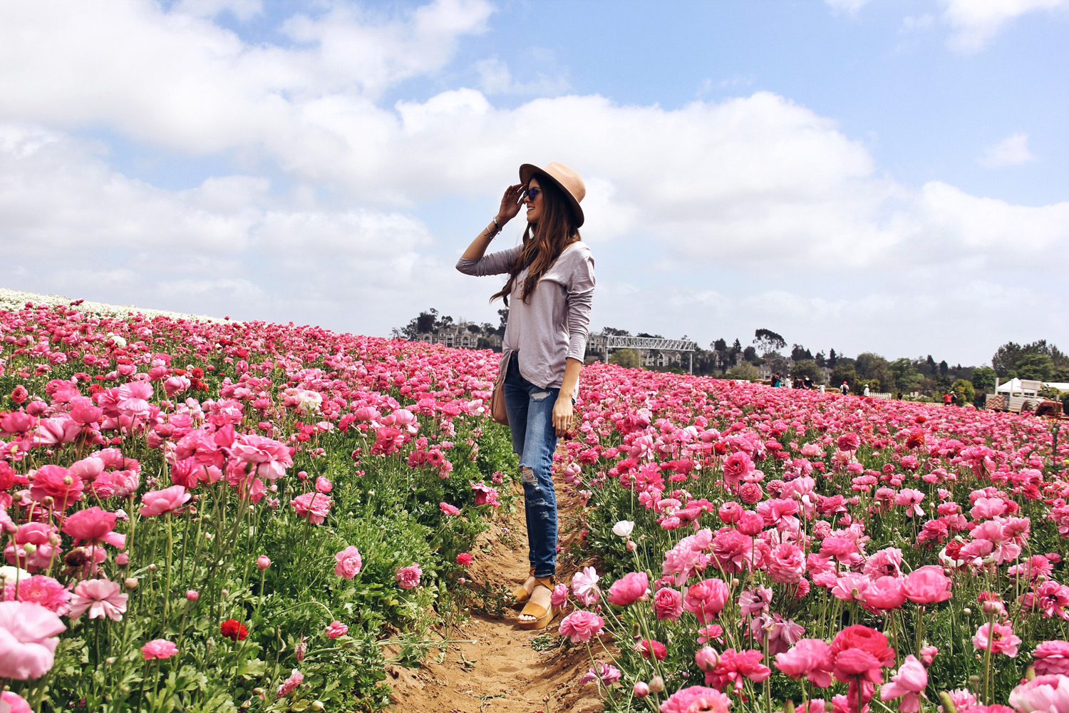 Carlsbad Flower Fields Day Trip