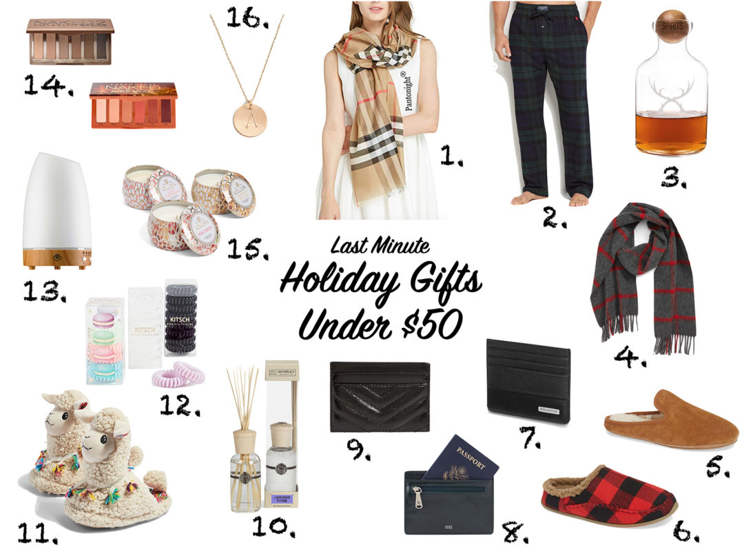 Last Minute Holiday Gifts Under $50