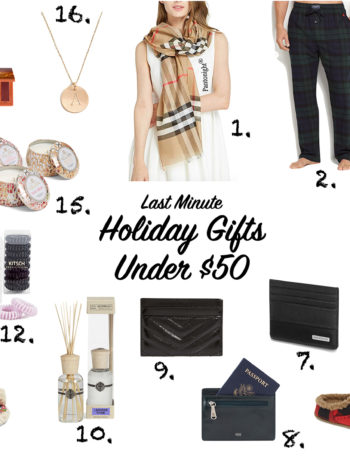 Last Minute Holiday Gifts Under $50